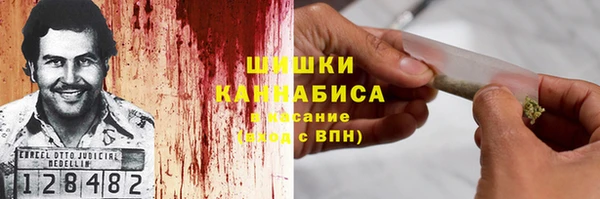 сатива Балахна