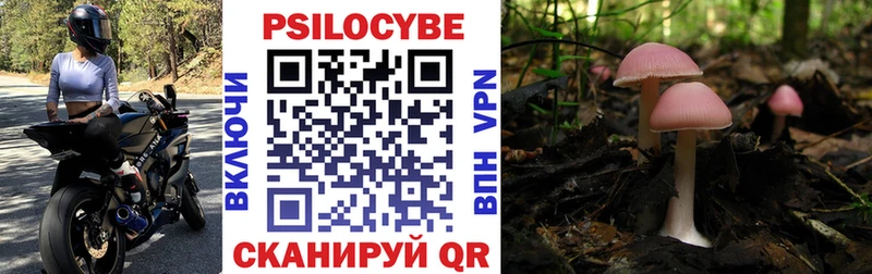 ссылка на мегу tor  где можно купить   Лыткарино  Галлюциногенные грибы MAGIC MUSHROOMS 