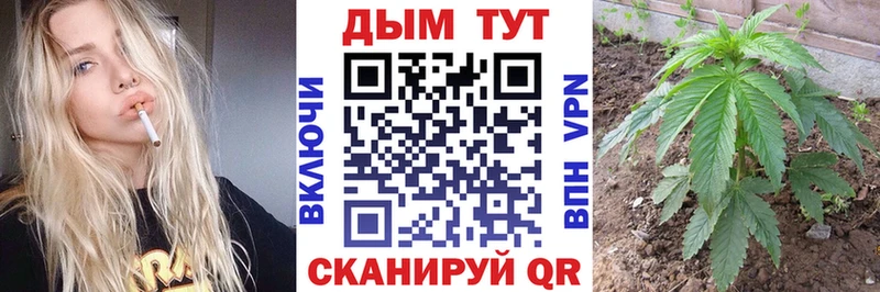 купить   Лыткарино  Канабис семена 